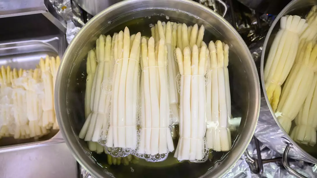 Vielen Deutschen läuft das Wasser im Mund zusammen, wenn sie gekochten weißen Spargel sehen. (Archivbild) - Bild: Julian Stratenschulte/dpa