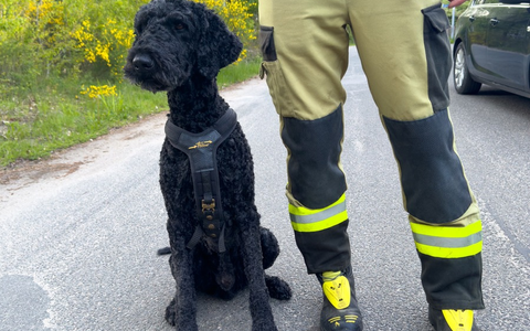 FW Lüchow-Dannenberg: +++ vermisste Seniorin löst Großeinsatz aus +++ Polizei, Feuerwehr und Rettungshunde im Einsatz +++ 83jährige nach stundenlangem Einsatz aufgefunden +++ - Foto: presseportal.de