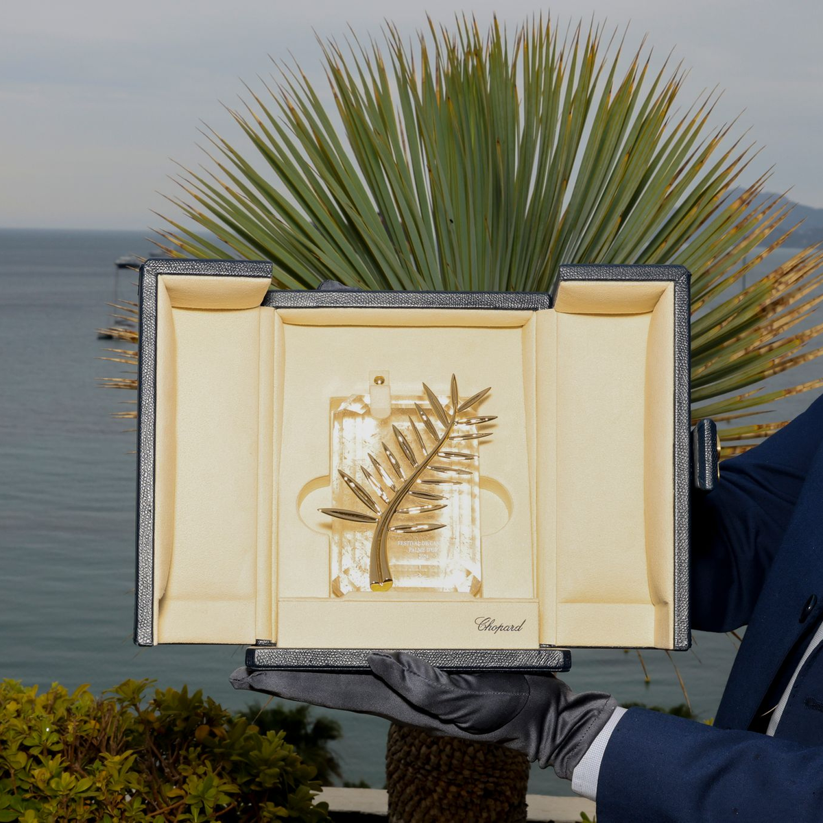 Hauptpreis des Festivals ist die Goldene Palme. (Archivbild) - Foto: Vianney Le Caer/Invision/AP/dpa