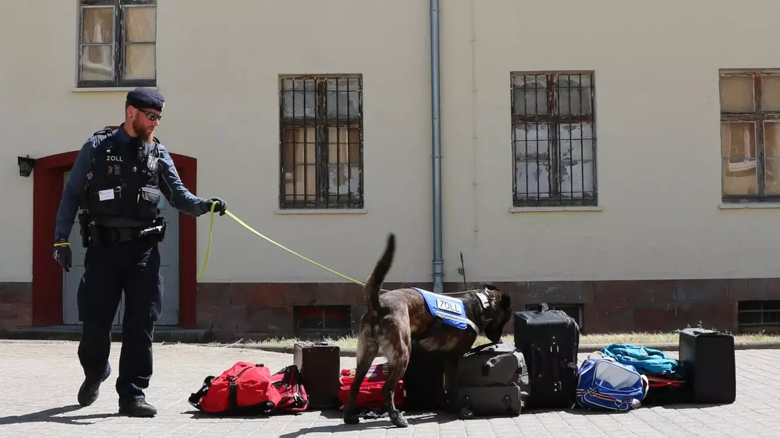 HZA-EF: Berufsinformationstag in der Zollschule Erfurt / Der Zoll informiert am kommenden Samstag über Ausbildungs- und Studienmöglichkeiten - Bild: presseportal.de