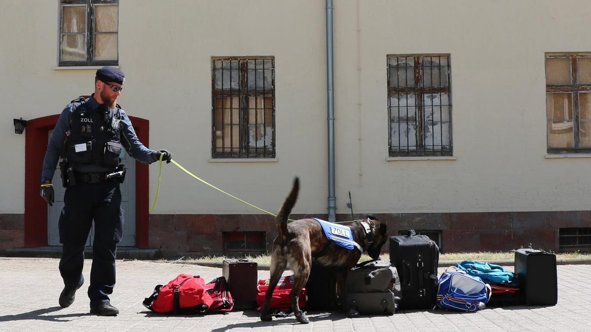 HZA-EF: Berufsinformationstag in der Zollschule Erfurt / Der Zoll informiert am kommenden Samstag über Ausbildungs- und Studienmöglichkeiten - Foto: presseportal.de