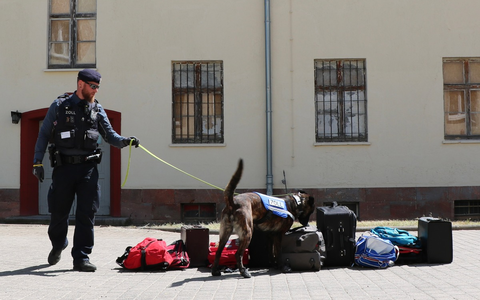 HZA-EF: Berufsinformationstag in der Zollschule Erfurt / Der Zoll informiert am kommenden Samstag über Ausbildungs- und Studienmöglichkeiten - Foto: presseportal.de