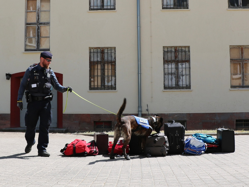 HZA-EF: Berufsinformationstag in der Zollschule Erfurt / Der Zoll informiert am kommenden Samstag über Ausbildungs- und Studienmöglichkeiten - Foto: presseportal.de
