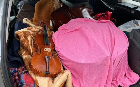 HZA-UL: Ungar schmuggelt Violinen, Kontrabass und Cello - Foto: presseportal.de