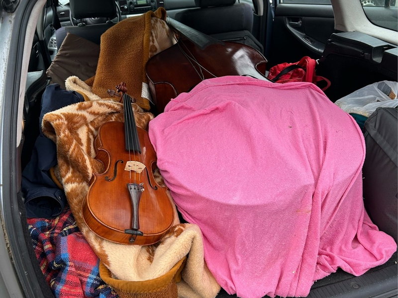 HZA-UL: Ungar schmuggelt Violinen, Kontrabass und Cello - Foto: presseportal.de