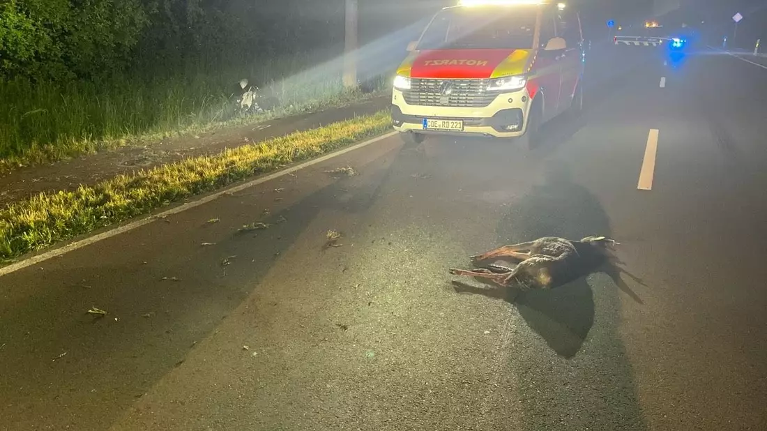 POL-COE: Olfen, B235/Motorradfahrer kollidiert mit Reh - Bild: presseportal.de