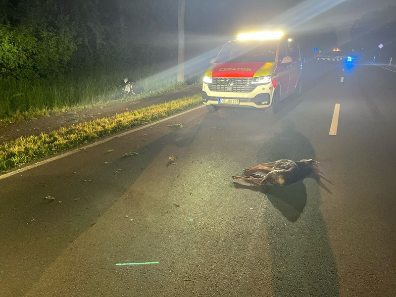 POL-COE: Olfen, B235/Motorradfahrer kollidiert mit Reh - Foto: presseportal.de