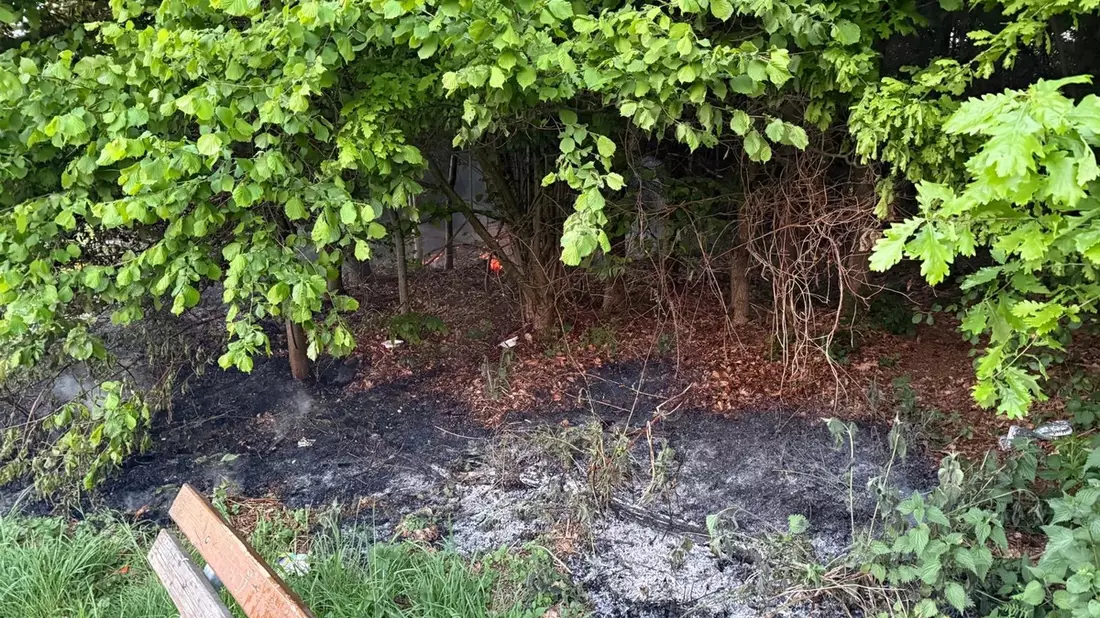 FW Ense: Feuerwehr Ense löscht Waldbrand / Fahrlässigkeit vermutlich Ursache - Bild: presseportal.de