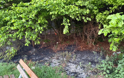 FW Ense: Feuerwehr Ense löscht Waldbrand / Fahrlässigkeit vermutlich Ursache - Foto: presseportal.de