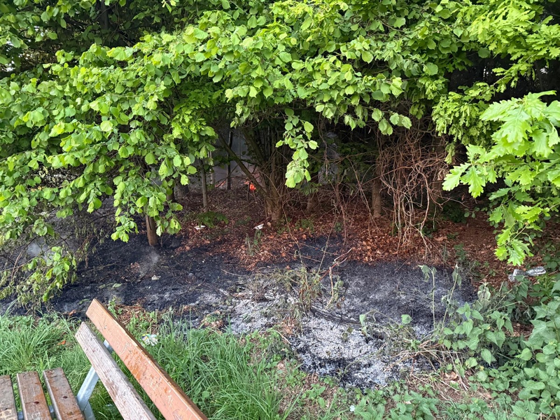FW Ense: Feuerwehr Ense löscht Waldbrand / Fahrlässigkeit vermutlich Ursache - Foto: presseportal.de
