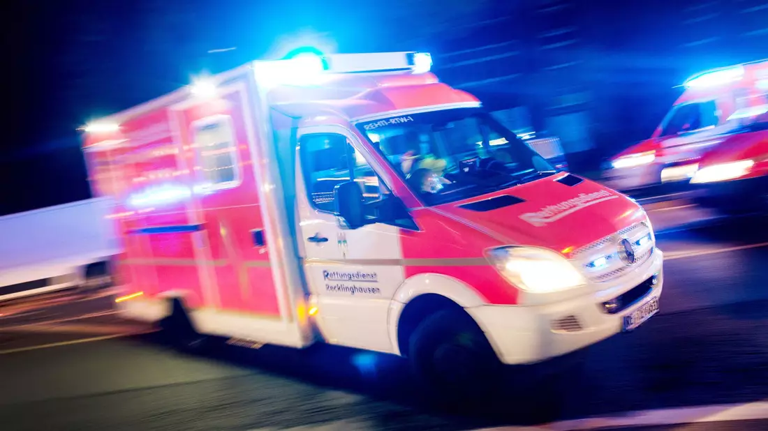In Delbrück im Kreis Paderborn musste der Notarzt eine Frau nach einem Tigerbiss behandeln. (Symbolbild)  - Bild: picture alliance / Marcel Kusch/dpa