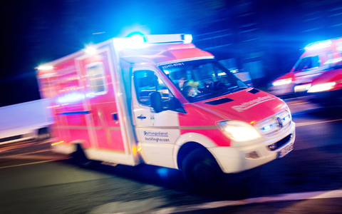 In Delbrück im Kreis Paderborn musste der Notarzt eine Frau nach einem Tigerbiss behandeln. (Symbolbild)  - Foto: picture alliance / Marcel Kusch/dpa