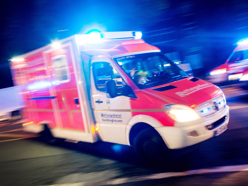 In Delbrück im Kreis Paderborn musste der Notarzt eine Frau nach einem Tigerbiss behandeln. (Symbolbild)  - Foto: picture alliance / Marcel Kusch/dpa