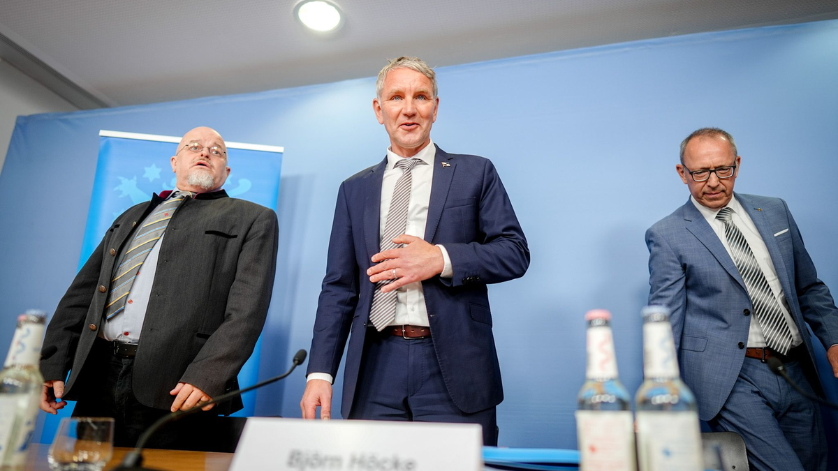 Höcke sieht Gutachten auch als wichtig für Rechtsstreit der Bundes-AfD.  - Foto: Kay Nietfeld/dpa
