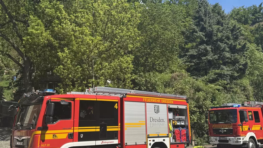 FW Dresden: Vegetationsbrand am Luftbad Dölzschen - rund 300 Quadratmeter Waldboden betroffen - Bild: presseportal.de