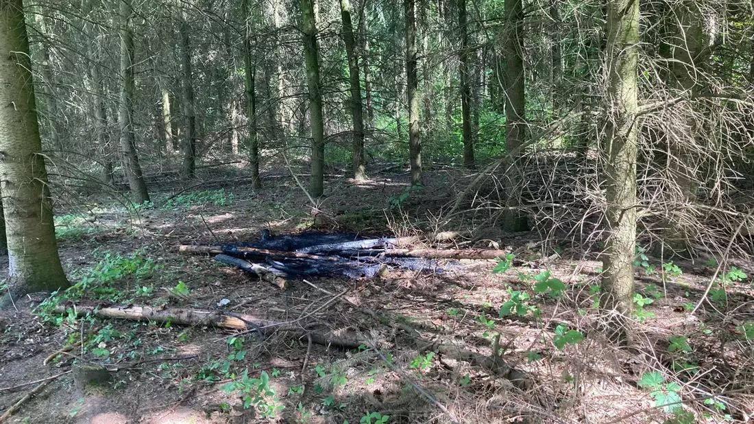 POL-NE: Unbekannte verursachen Feuer im Wald - Bild: presseportal.de
