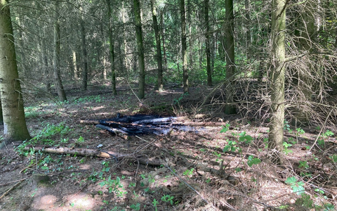 POL-NE: Unbekannte verursachen Feuer im Wald - Foto: presseportal.de