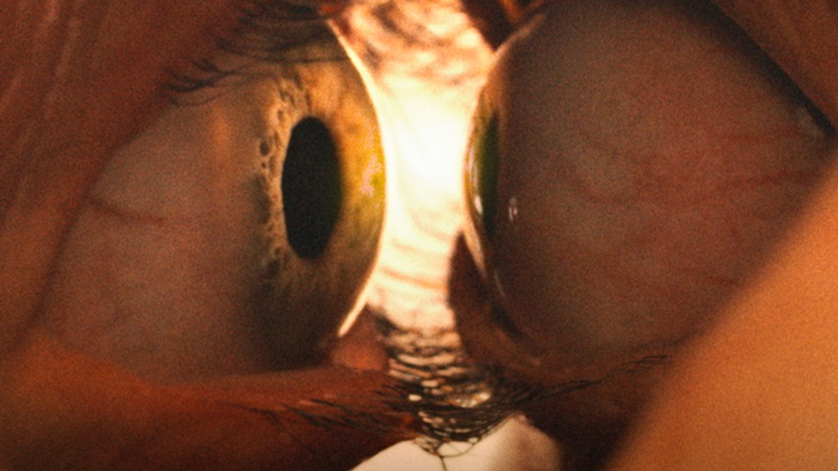 Neuer Trailer und Starttermin zu TOGETHER - UNZERTRENNLICH / Ab 31. Juli 2025 im Kino! - Foto: presseportal.de