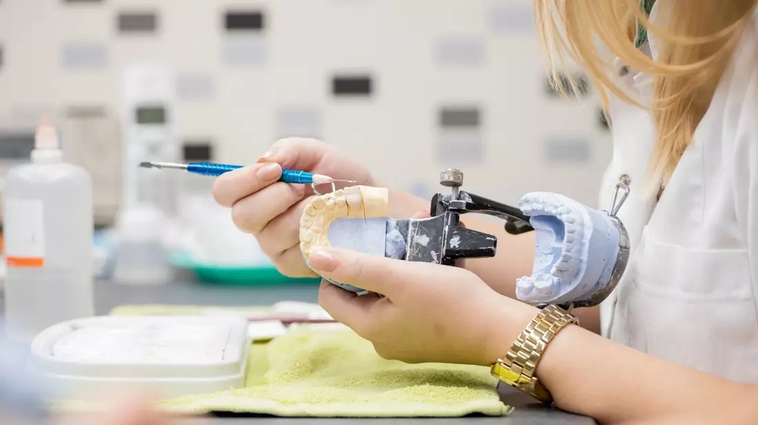Starke Impulse für künftige zahnärztliche Versorgung / Neuer NC-freier Studiengang Zahnmedizin an der HMU Erfurt - Bild: presseportal.de