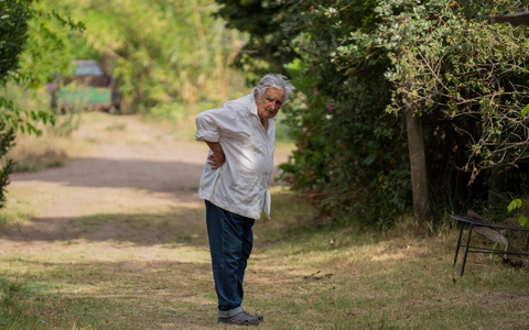 Der frĂŒhere PrĂ€sident zĂŒchtete auf seiner Farm in der NĂ€he von Montevideo Blumen. (Archivbild) - Foto: Matilde Campodonico/AP/dpa Der frĂŒhere PrĂ€sident zĂŒchtete auf seiner Farm in der NĂ€he von Montevideo Blumen. (Archivbild) - Foto: Matilde Campodonico/AP/dpa