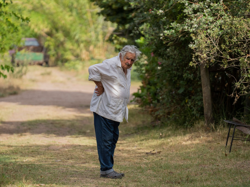 Der frühere Präsident züchtete auf seiner Farm in der Nähe von Montevideo Blumen. (Archivbild) - Foto: Matilde Campodonico/AP/dpa