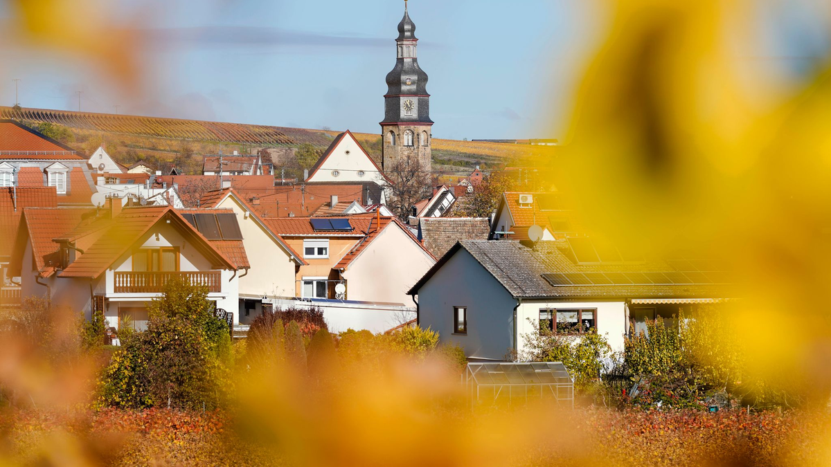 Der kleine Winzerort Kallstadt an der Weinstraße ist der Heimatort von Trumps Vorfahren. (Archivbild) - Foto: Uwe Anspach/dpa/dpa-tmn