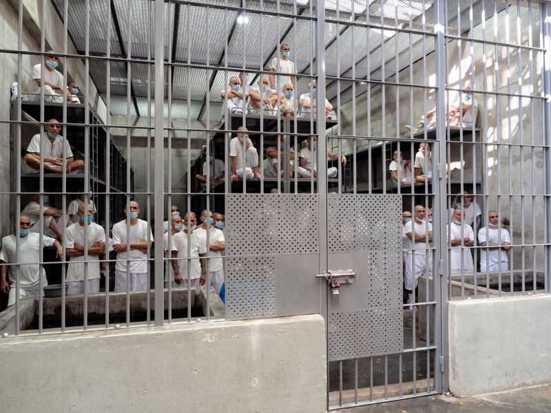 Richterin erlaubt Trumps Abschiebungen nach Kriegsgesetz. (Archivbild) - Foto: Juan Carlos/dpa