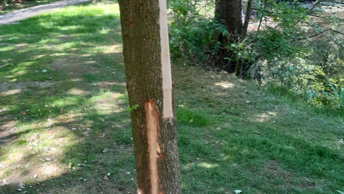 POL-CLP: Pressemeldungen aus dem Landkreis Vechta - Foto: presseportal.de