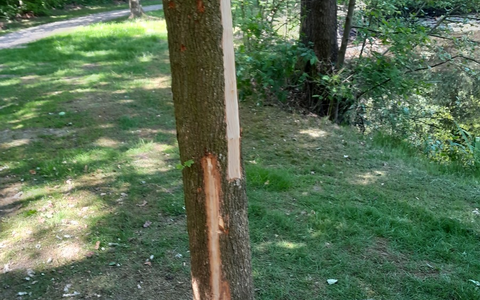 POL-CLP: Pressemeldungen aus dem Landkreis Vechta - Foto: presseportal.de