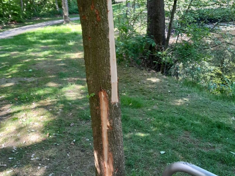 POL-CLP: Pressemeldungen aus dem Landkreis Vechta - Foto: presseportal.de