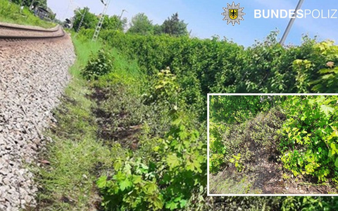 Bundespolizeidirektion München: Zigarette löste Böschungsbrand aus - Bundespolizei warnt vor unachtsamen Verhalten - Foto: presseportal.de