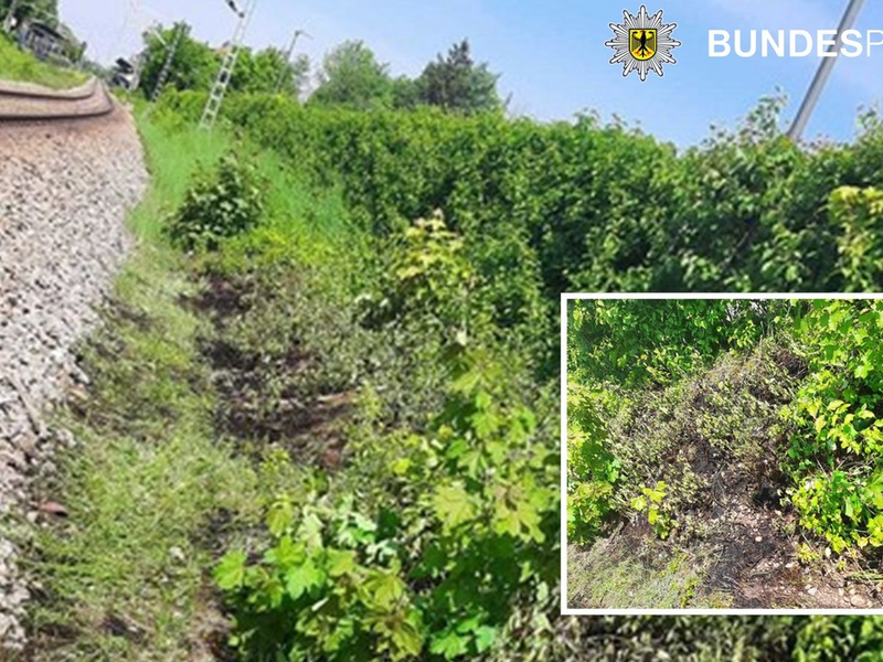 Bundespolizeidirektion München: Zigarette löste Böschungsbrand aus - Bundespolizei warnt vor unachtsamen Verhalten - Foto: presseportal.de