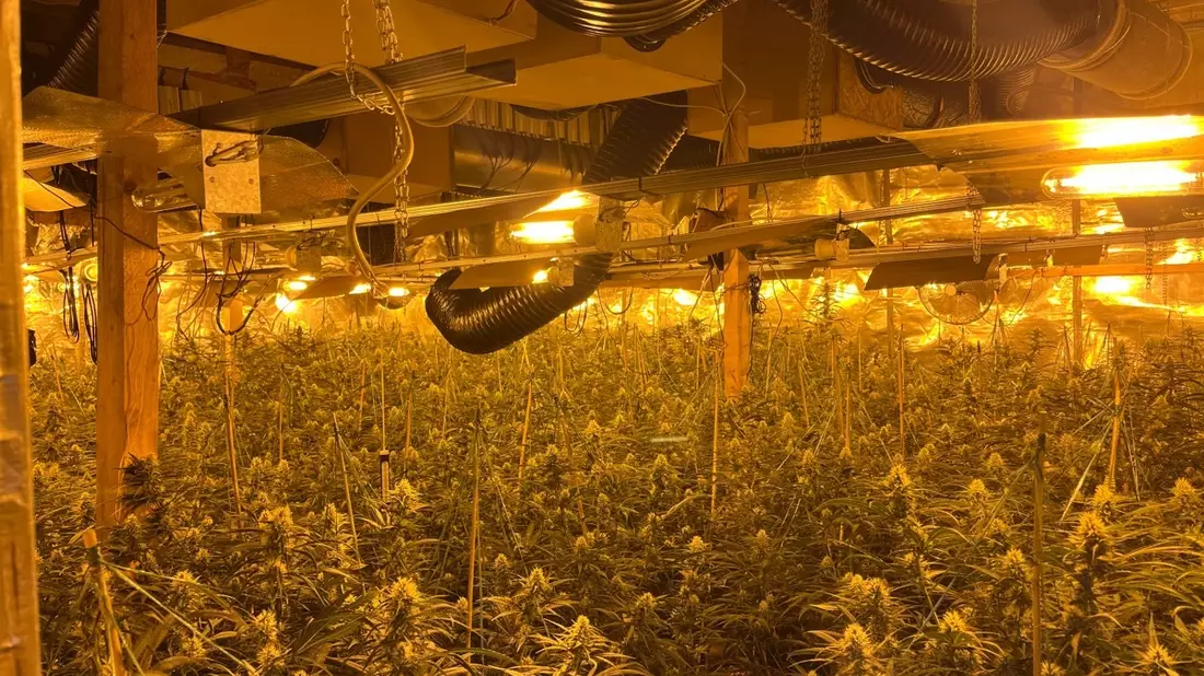POL-MK: Cannabis-Plantage im ehemaligen Steinbruch - Zwei Festnahmen - Bild: presseportal.de