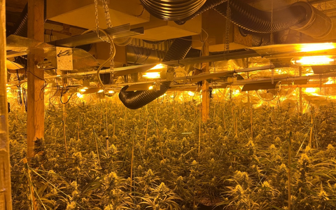 POL-MK: Cannabis-Plantage im ehemaligen Steinbruch - Zwei Festnahmen - Foto: presseportal.de