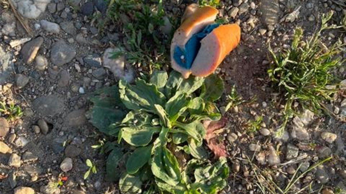 POL-PPKO: Giftköder im Bereich Koblenz-Güls - Foto: presseportal.de