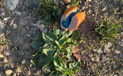 POL-PPKO: Giftköder im Bereich Koblenz-Güls - Foto: presseportal.de