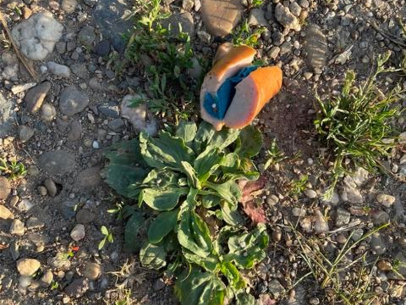 POL-PPKO: Giftköder im Bereich Koblenz-Güls - Foto: presseportal.de