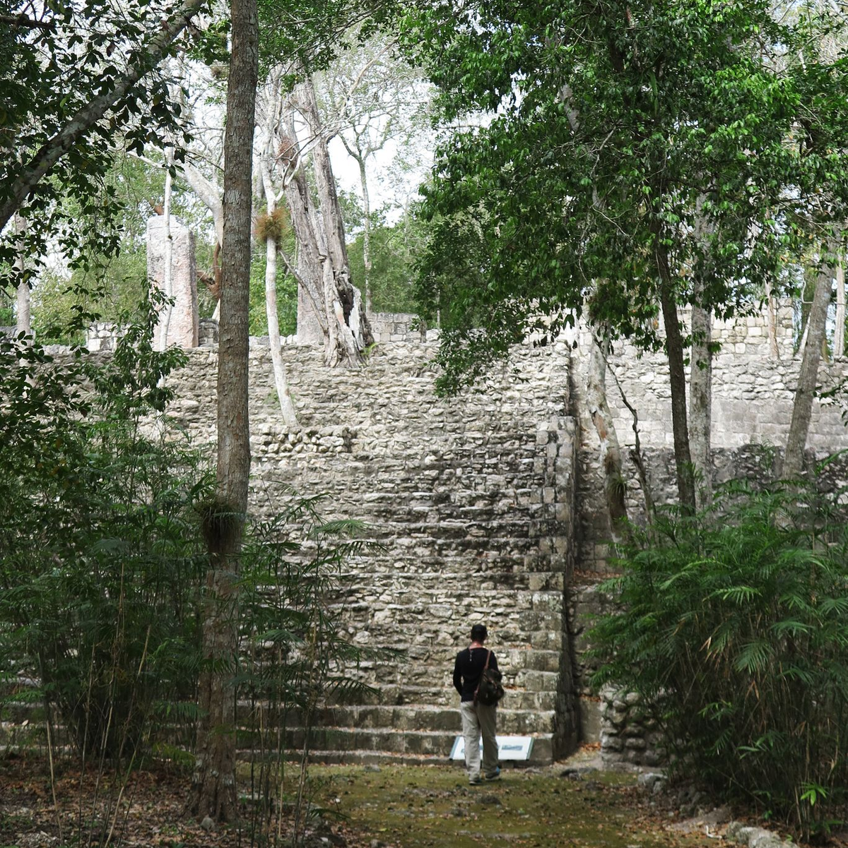 MrBeast hat sein Video auch an der archäologischen Stätte Calakmul gedreht. (Archivbild) - Foto: Andrea Sosa/dpa