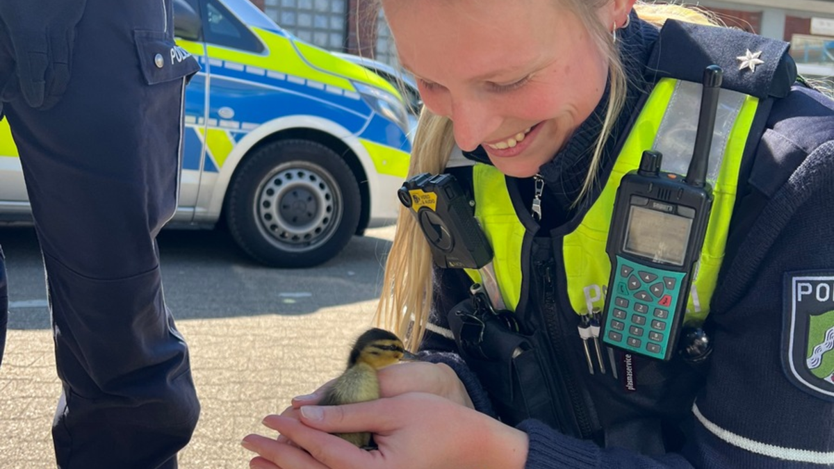 POL-DO: Ente gut, alles gut - Tierischer Einsatz auf der A 40 bei Bochum - Foto: presseportal.de