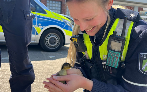 POL-DO: Ente gut, alles gut - Tierischer Einsatz auf der A 40 bei Bochum - Foto: presseportal.de