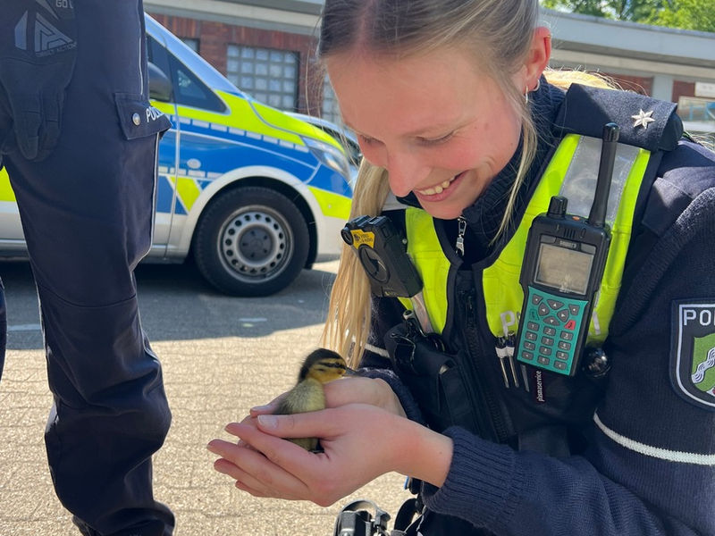 POL-DO: Ente gut, alles gut - Tierischer Einsatz auf der A 40 bei Bochum - Foto: presseportal.de