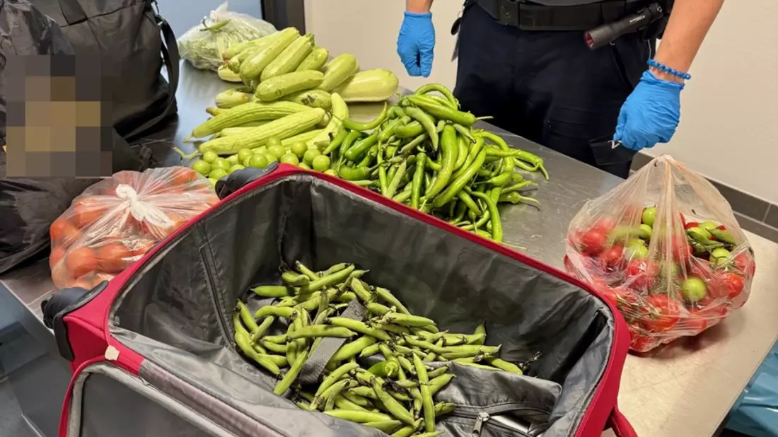 HZA-SB: Weder das Gemüse noch der Plan waren ausgereift; ZOLL findet 19 Kilogramm verbotene Lebensmittel und unversteuerte Zigaretten - Bild: presseportal.de