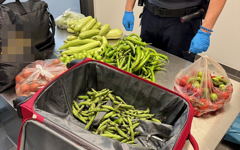 HZA-SB: Weder das Gemüse noch der Plan waren ausgereift; ZOLL findet 19 Kilogramm verbotene Lebensmittel und unversteuerte Zigaretten - Foto: presseportal.de