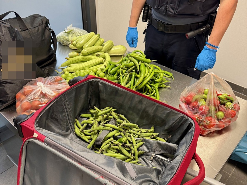 HZA-SB: Weder das Gemüse noch der Plan waren ausgereift; ZOLL findet 19 Kilogramm verbotene Lebensmittel und unversteuerte Zigaretten - Foto: presseportal.de