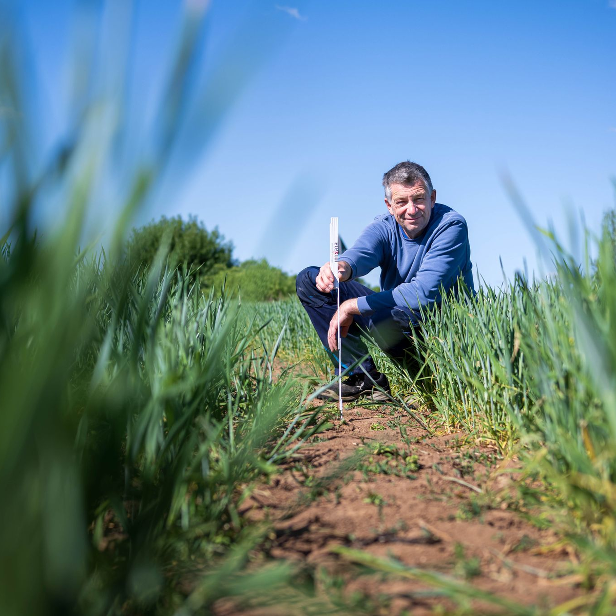 Bewässern ist teuer - derzeit aber vielfach nötig. - Foto: Sina Schuldt/dpa