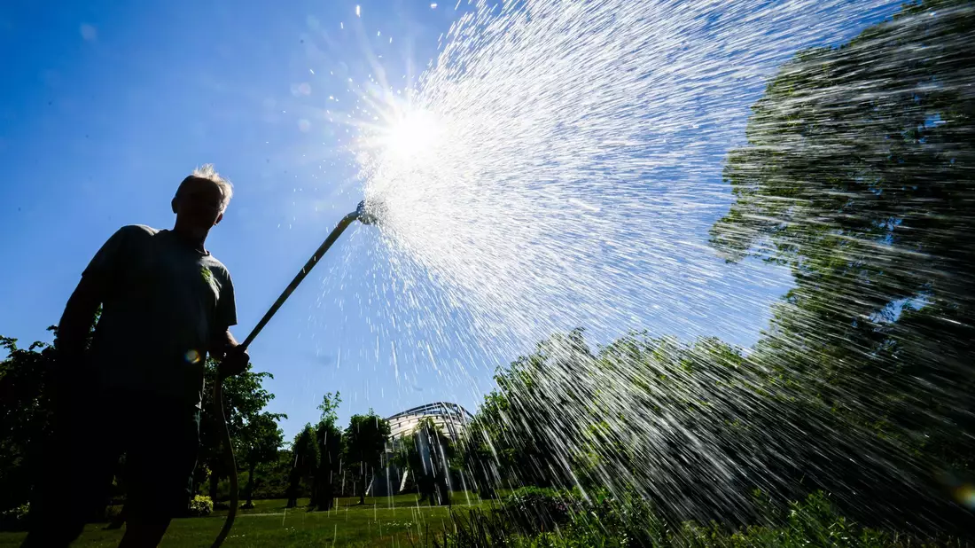 Auch in manchen Gärten ist der Wasserbedarf schon groß. - Bild: Julian Stratenschulte/dpa