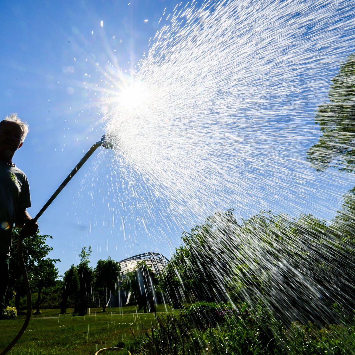 Auch in manchen Gärten ist der Wasserbedarf schon groß. - Foto: Julian Stratenschulte/dpa