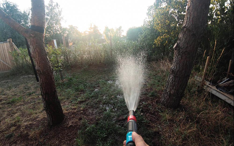 Rasen wird mit Wasser besprengt (Archiv) - Foto: über dts Nachrichtenagentur