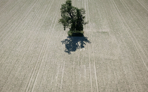 Der DWD wertet für seine Bilanz mehr als 2.000 Messstationen aus. (Archivbild) - Foto: Boris Roessler/dpa