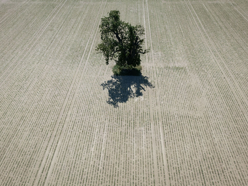Der DWD wertet für seine Bilanz mehr als 2.000 Messstationen aus. (Archivbild) - Foto: Boris Roessler/dpa